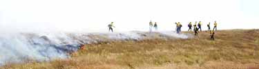 Olympic NP fire crews work a prescribed fire
